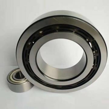 FAG NJ2316-E-M1 Cylindrical Roller Bearings